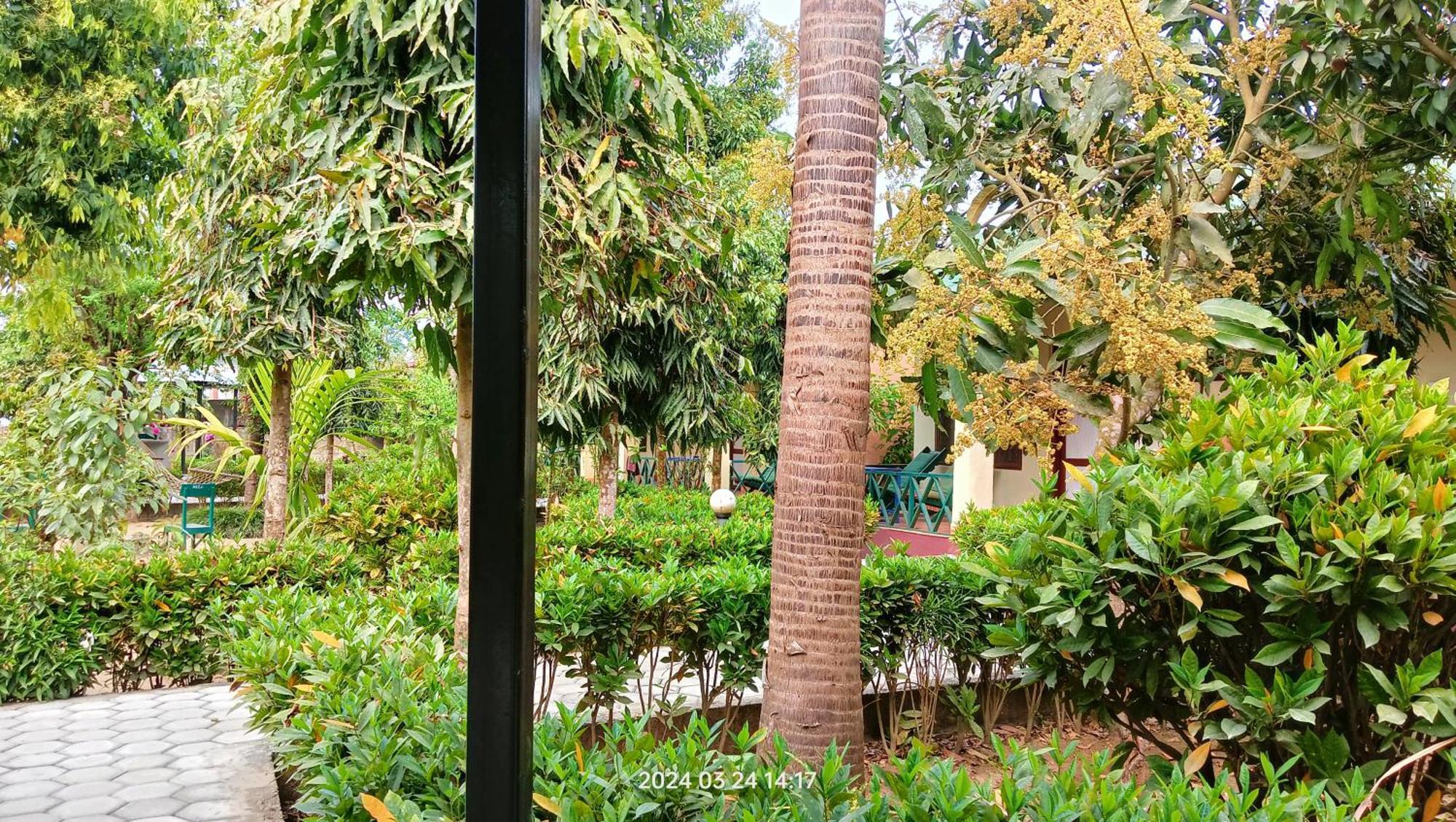 Hotel Butterfly Sauraha Exterior foto