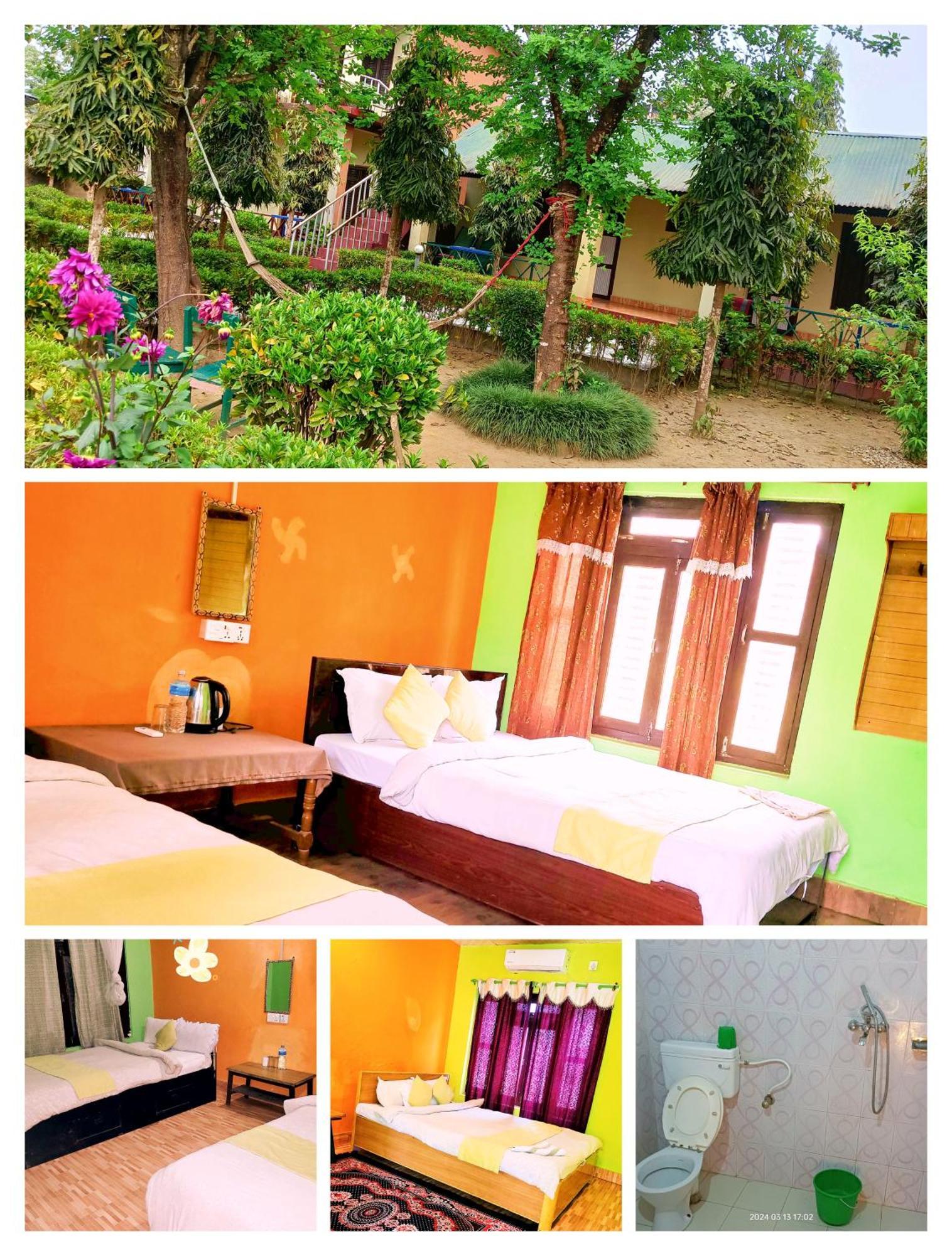 Hotel Butterfly Sauraha Exterior foto