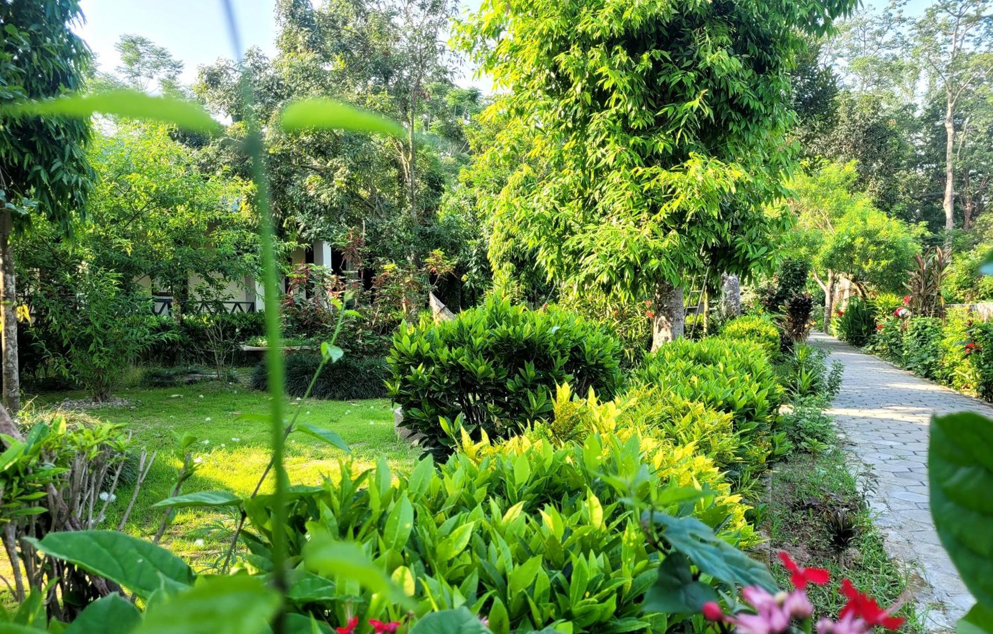 Hotel Butterfly Sauraha Exterior foto